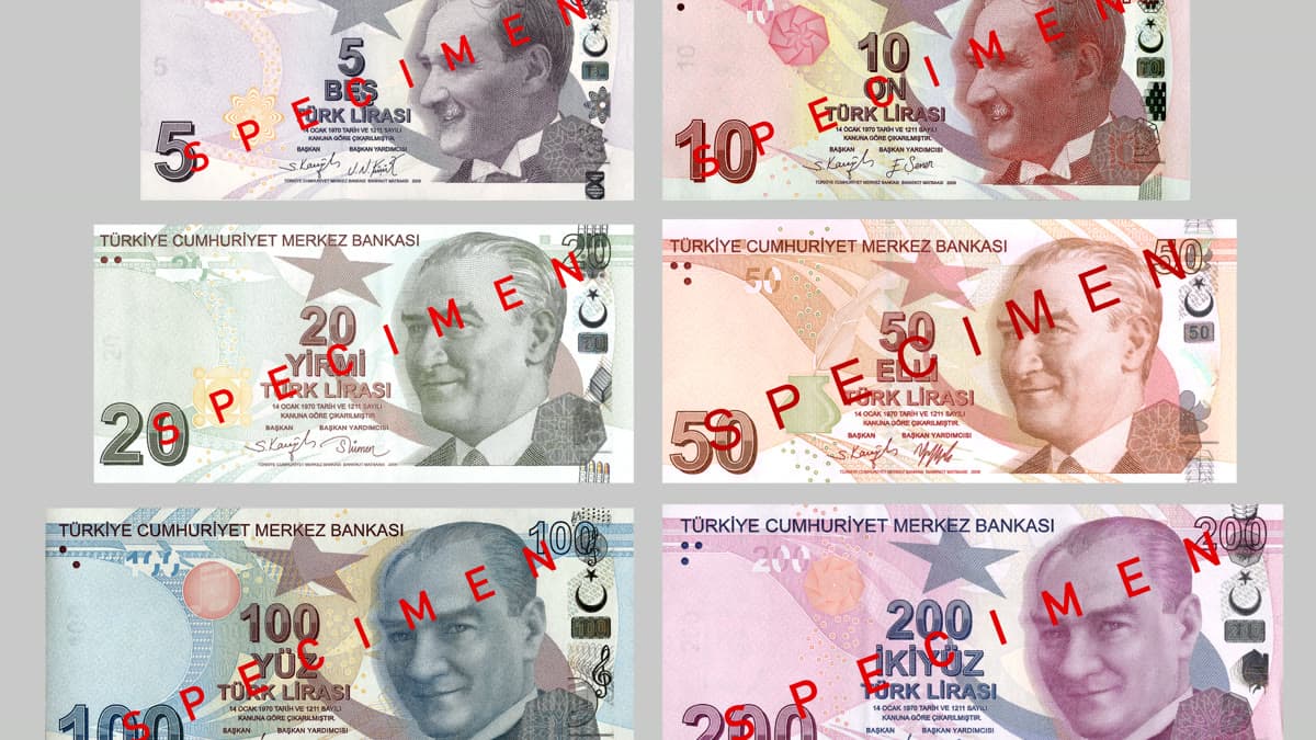 Türkiye Cumhuriyet Merkez Bankası'nın bastığı Türk Lirası banknotlarının farklı küpürleri (numune)