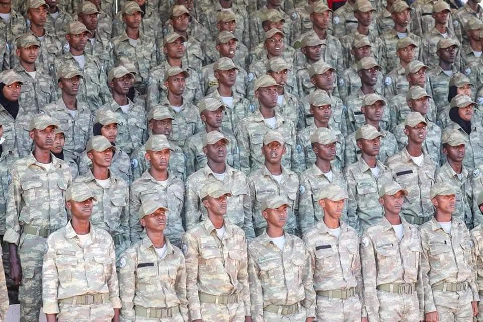 Türk Silahlı Kuvvetleri askerleri bir tören sırasında (temsilî)