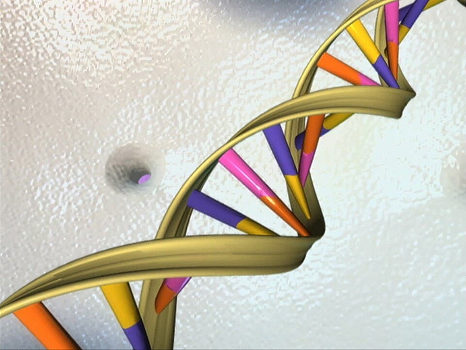 DNA sarmalı temsilî görseli — Kalbiye Sağlam, DNA testinin sonucuyla milyarlık mirasa ortak oldu