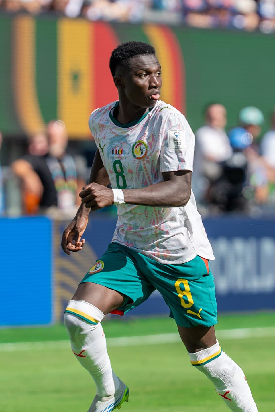 Lamine Camara, Senegal Millî Takımı formasıyla (2026 Dünya Kupası, Fransa-Senegal maçı)