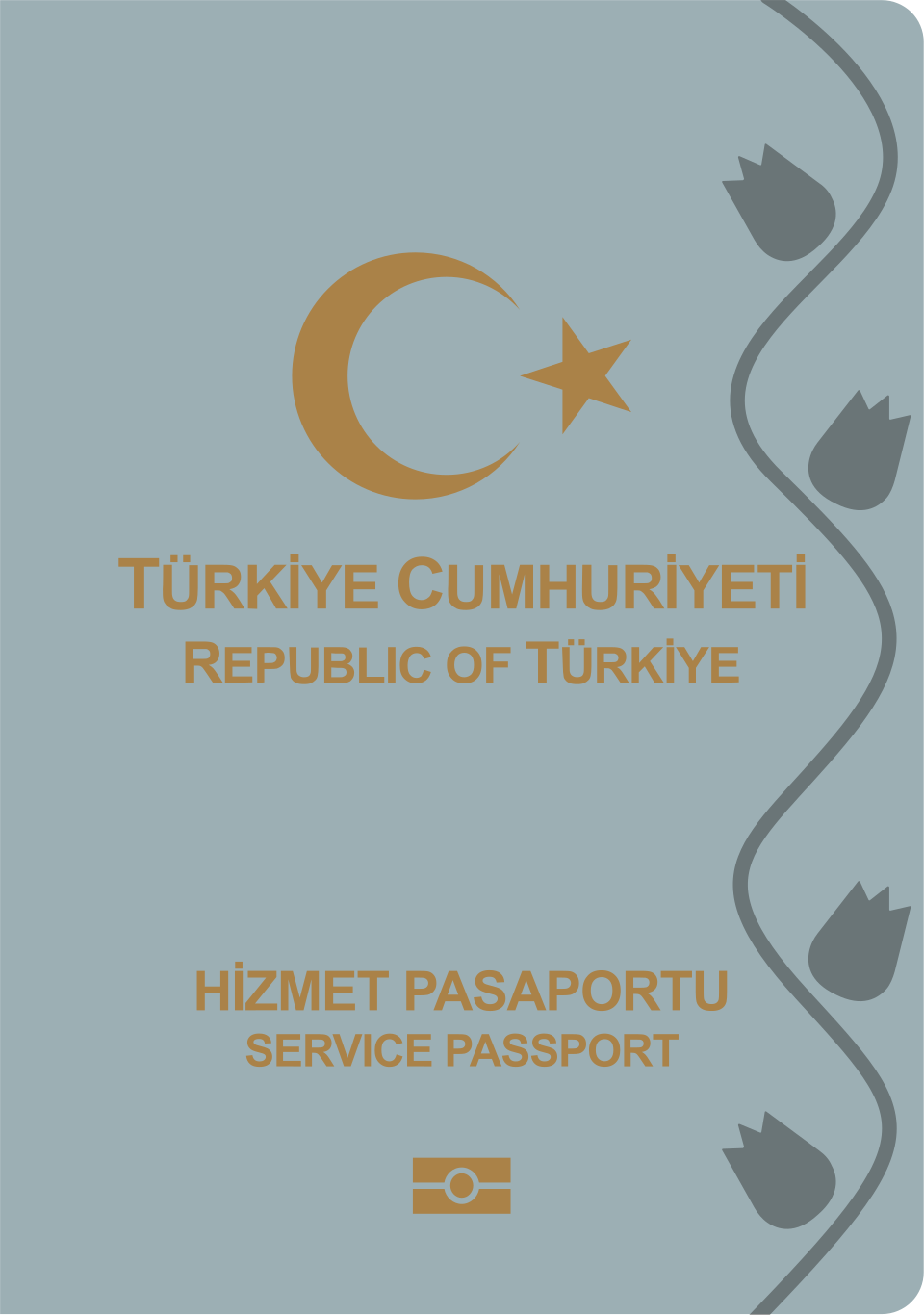 Türkiye hizmet (gri) pasaport kapağı — gri pasaport rehberi