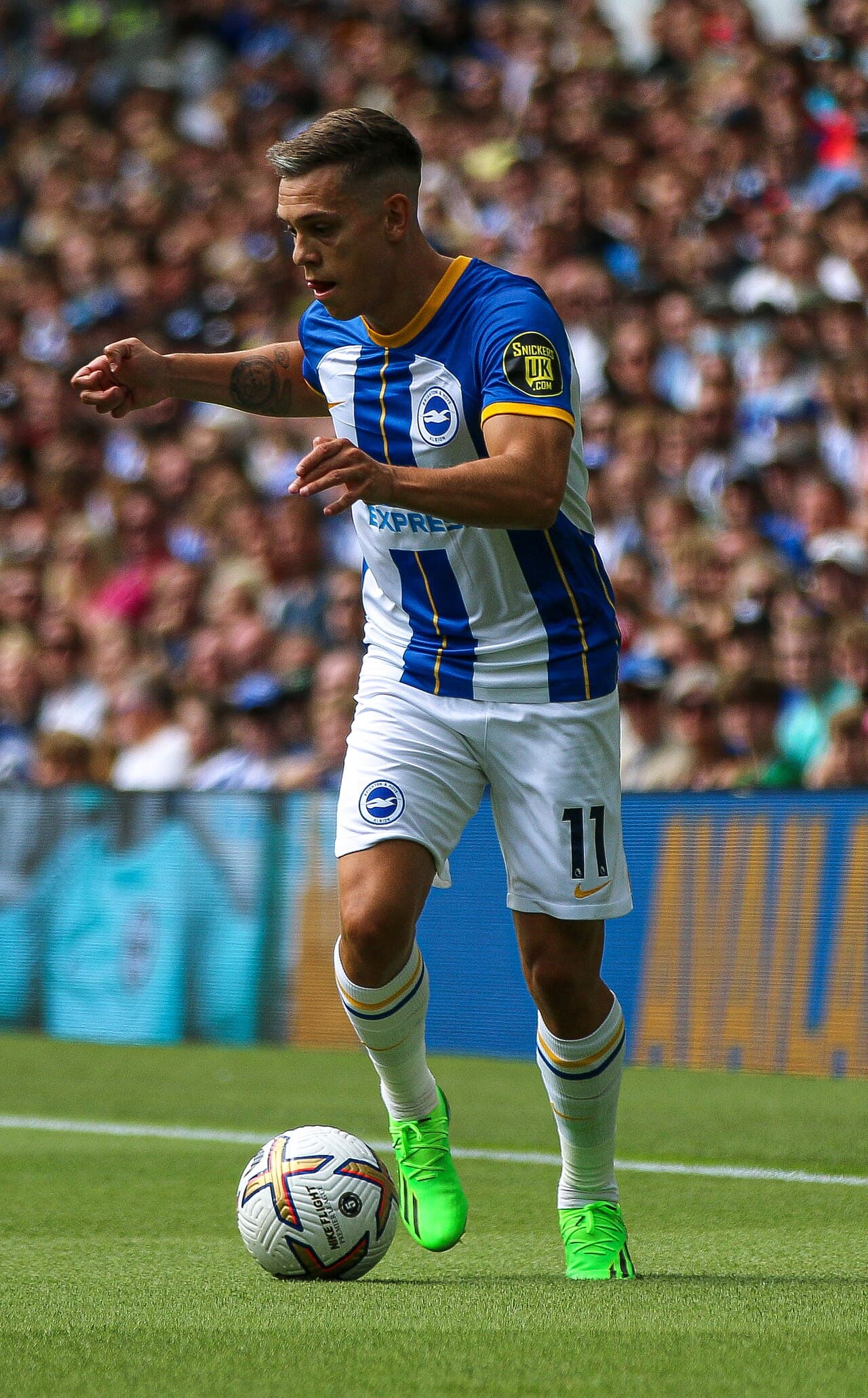Leandro Trossard, Brighton forması ile topla ilerlerken — 30 Temmuz 2022 (arşiv fotoğrafı)