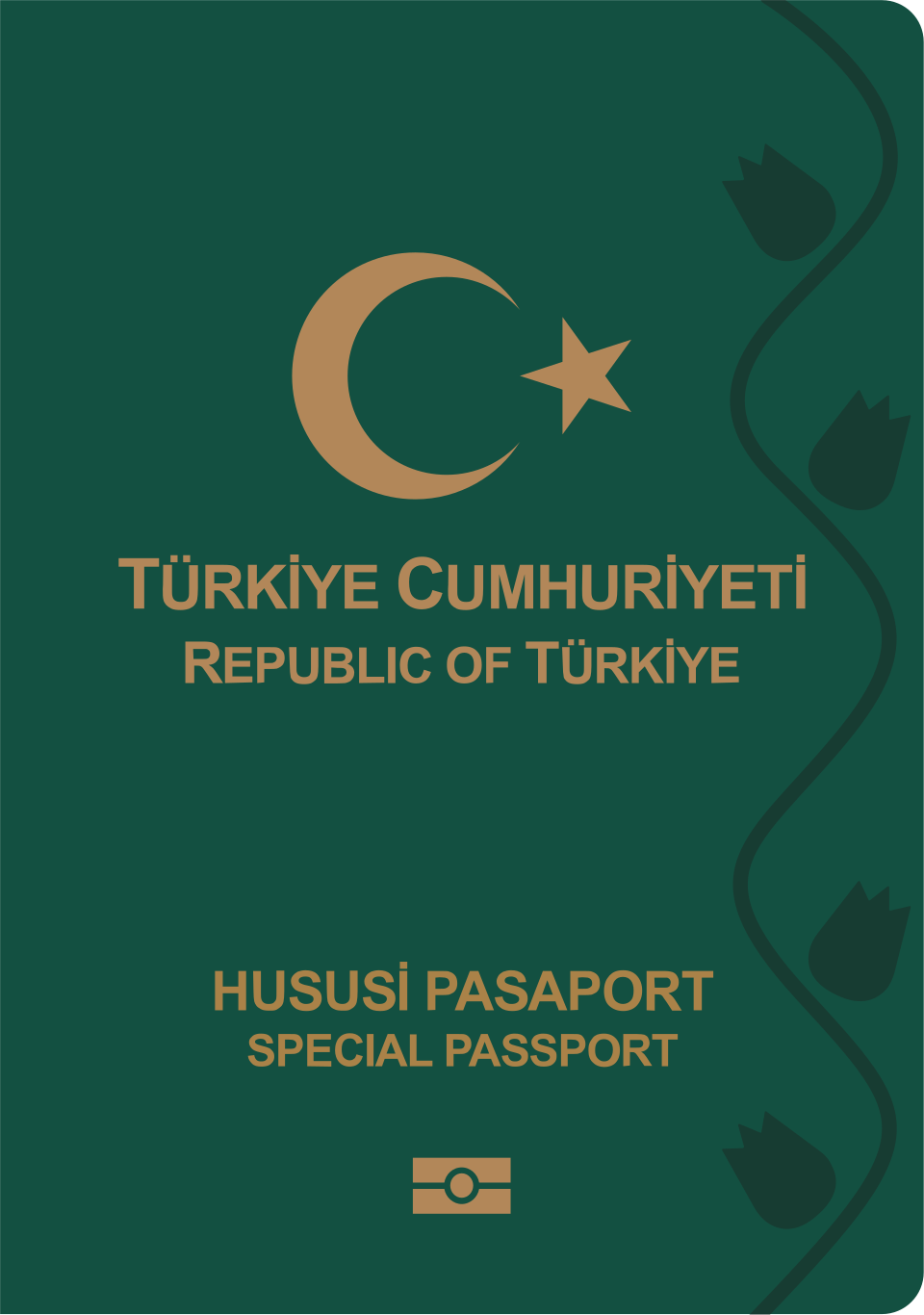 Türkiye hususi (yeşil) pasaport kapağı — yeşil pasaport rehberi